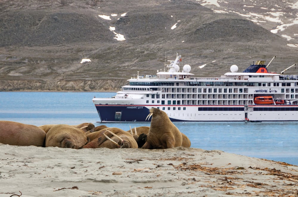 Atlantic Crossing: Ocean Harmony